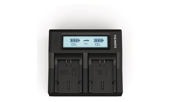 B-9668 Panasonic CGA-S006 Dual Battery Charger